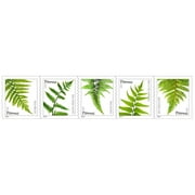 10 Ferns USPS Forever Postage Stamp US First Class Flower Plant Green Corsage Nature Celebrate Floral Bouquet Wedding Beauty (10 Stamps)