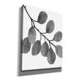 thumbnail image 2 of Epic Graffiti 'Leaves in Gray I' by Cindy Jacobs, Canvas Wall Art, 26"x34", 2 of 2