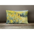 thumbnail image 2 of Carolines Treasures DAC1681PW1216 16 x 12 in. Unisex Nebraska Goldenrod in Watercolor Fabric Decorative Pillow, 2 of 4