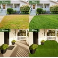 thumbnail image 2 of Realistic Thick Artificial Grass Turf Lawn -Indoor Outdoor Garden Lawn Landscape Synthetic Grass Mat - Thick Fake Grass Rug 1FTX66FT, 2 of 7