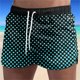 thumbnail image 1 of Bañadores de cinco puntos de secado rápido con cordón de secado rápido para hombres y mujeres, deportes transpirables, surf, vacaciones en la playa, bañadores de playa, bañadores de natación Pompotops qyievc7682, 1 of 3