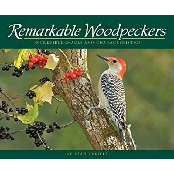 Pre-Owned Remarkable Woodpeckers: Incredible Images and Characteristics (Paperback) 1591933218 9781591933212