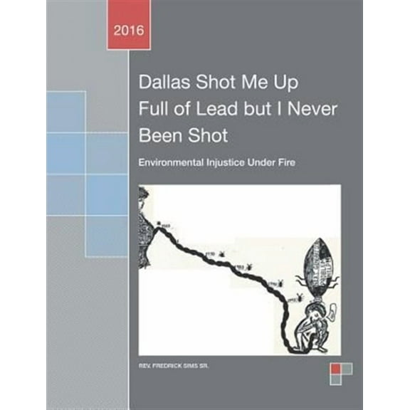 Dallas Shot Me Up Full of Lead but I Never Been Shot: Environmental Injustice Under Fire