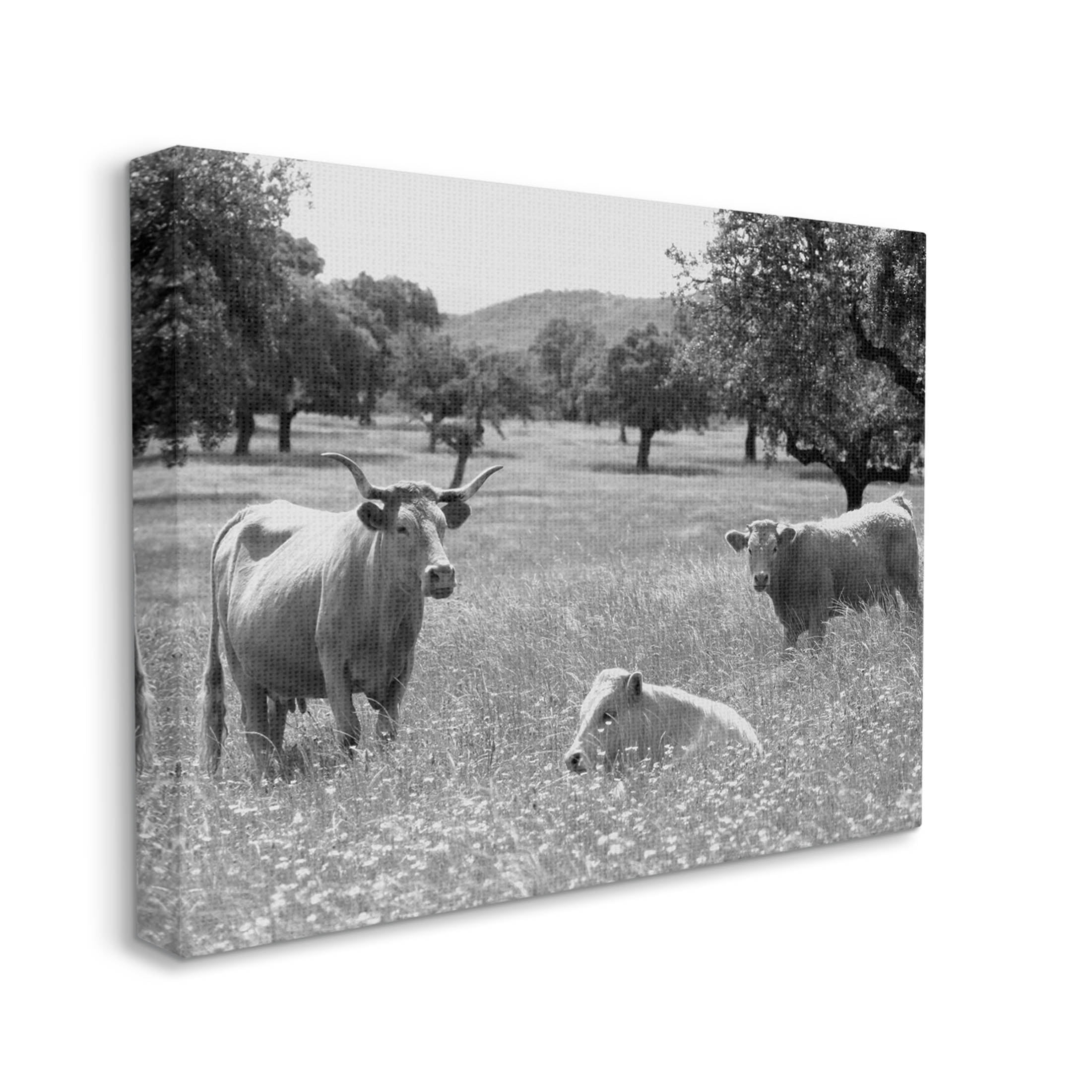 Stupell Industries Countryside Meadow Cattle Photograph Gallery Wrapped Canvas Print Wall Art, Design by Daphne Polselli