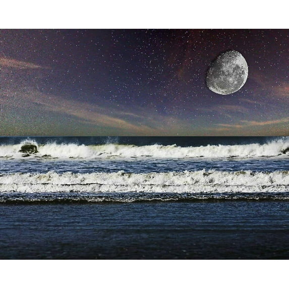 Really Full Moon - CANVAS OR FINE PRINT WALL ART PRINT