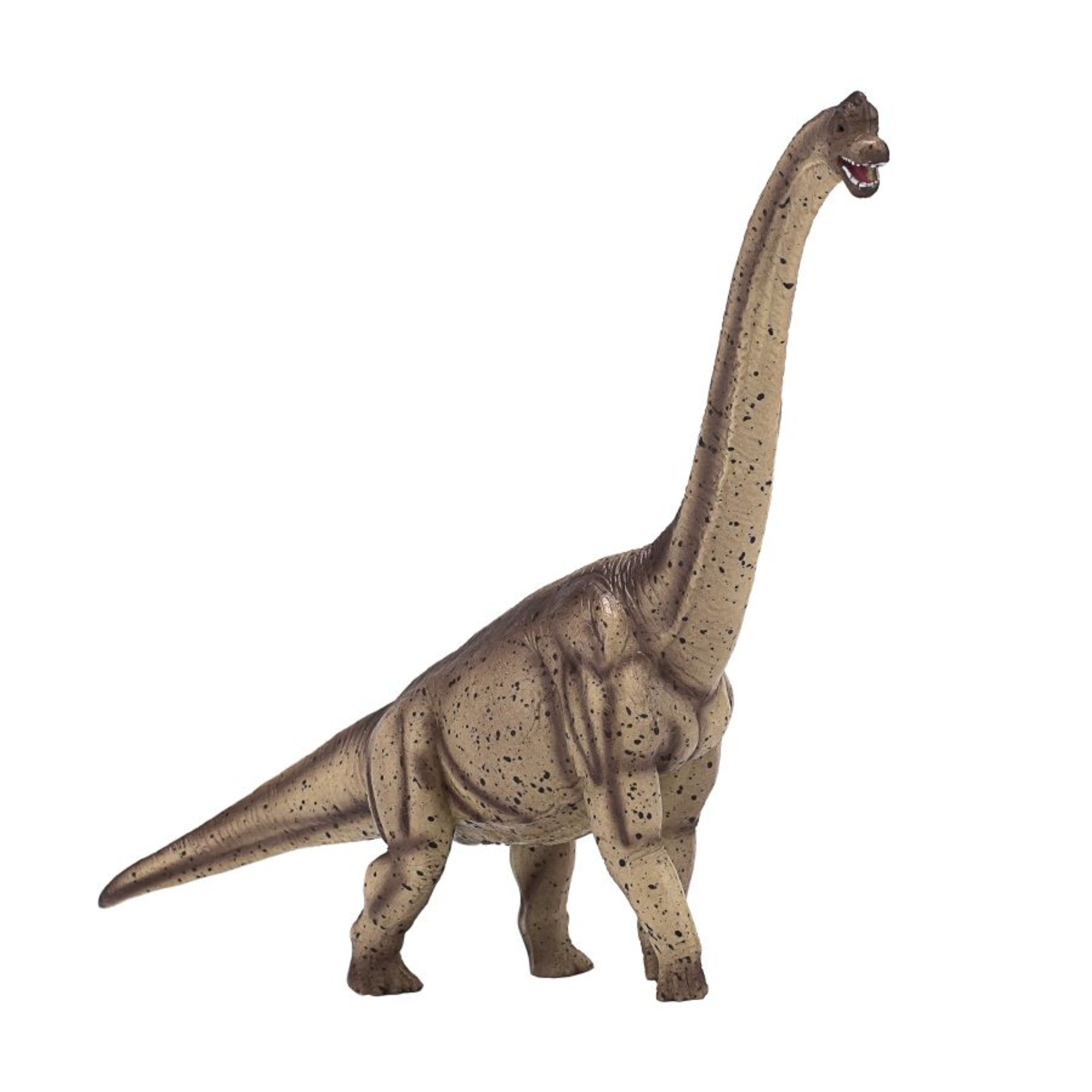 allosaurus brachiosaurus