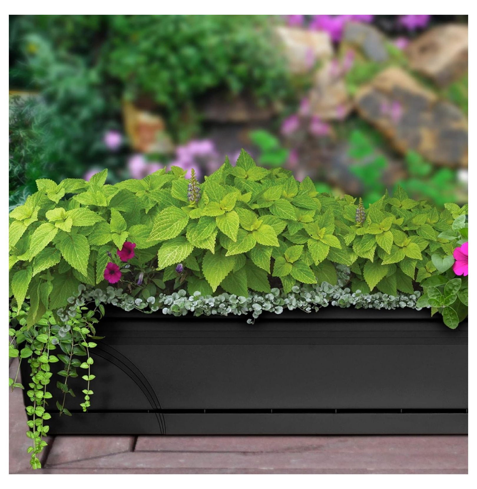 36 Inch Rectangular Indoor Outdoor Medallion Hanging Windowsill Garden Box Planter, Black (2 Pack)