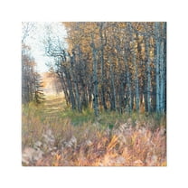 Stupell Industries Autumn Birch Trees Grassy Path Woodlands Photography, 36 x 36, Design by Carol Robinson