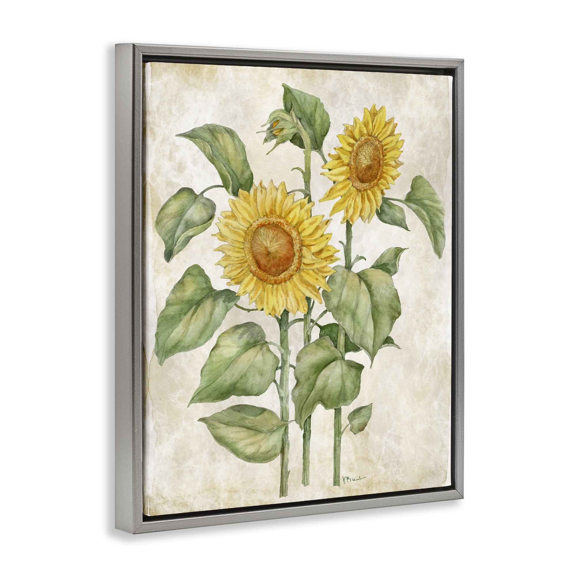 Stupell Industries Floral Journal Vintage Sunflower Gray Framed Floater Canvas Wall Art, design by Paul Brent