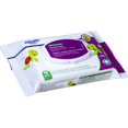 thumbnail image 1 of Equate Toddler Pre-Moistened Flushable Wipes, 1 of 1