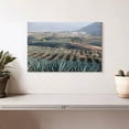 thumbnail image 2 of Elephant Stock Tequila Jalisco Agave Field Wall Art - Horizontal Canvas Wall Art - Living Room Wall Decor - Nature Canvas - Teal And Blue Decor - 12" x 8", 2 of 4
