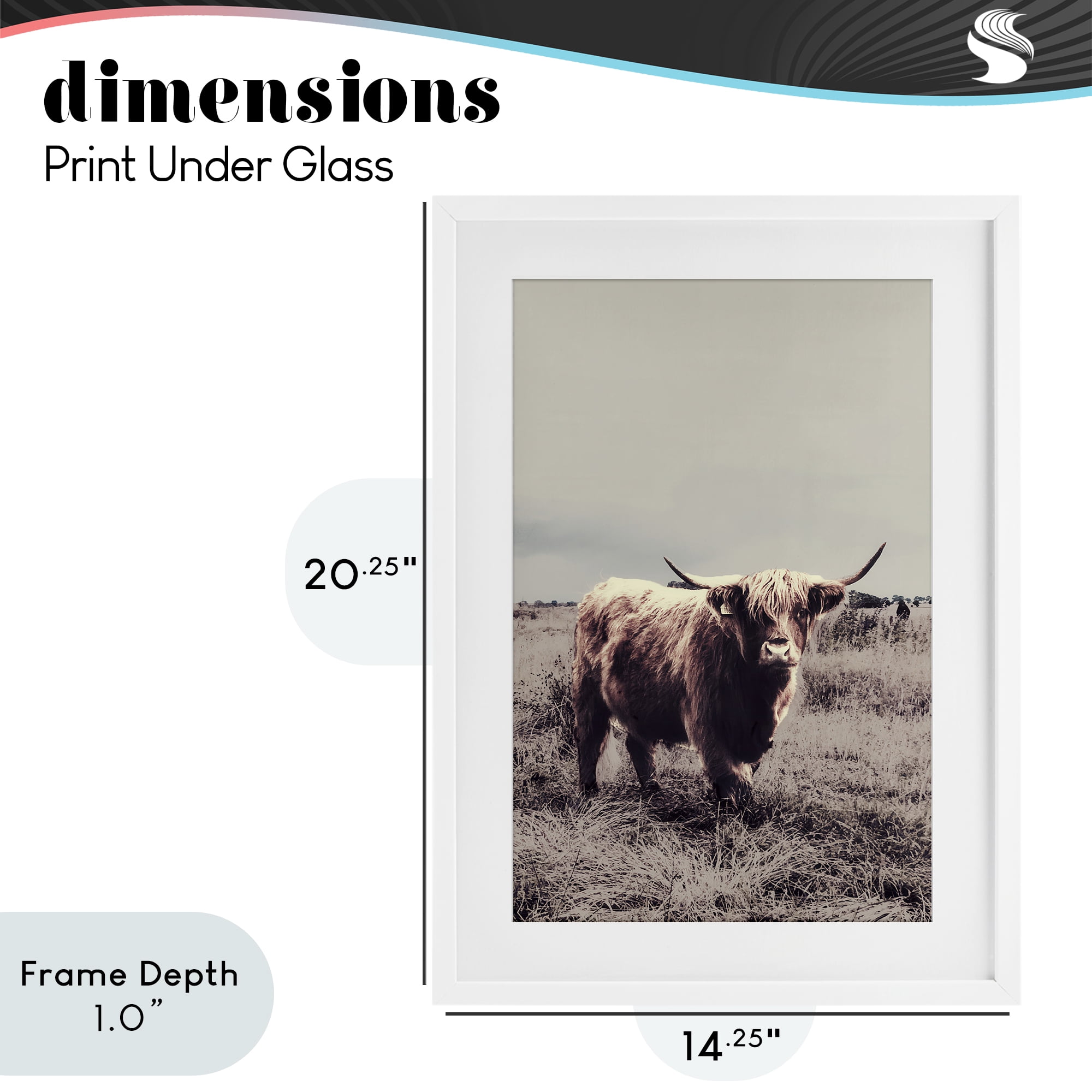 Stupell Industries Horned Cattle in Pasture White Framed Print Under Glass, design by SD Graphics Studio