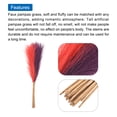 thumbnail image 4 of Uxcell 20Pcs Faux Pampas Grass 21.65" Fake Pampas Grass Decor Dark Purple/Red, 4 of 7
