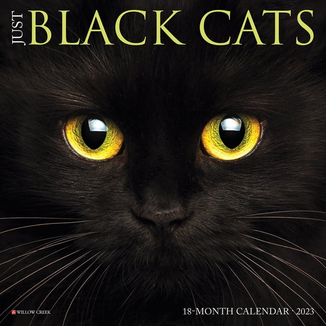 Just Black Cats 2023 Mini Wall Calendar (Other)
