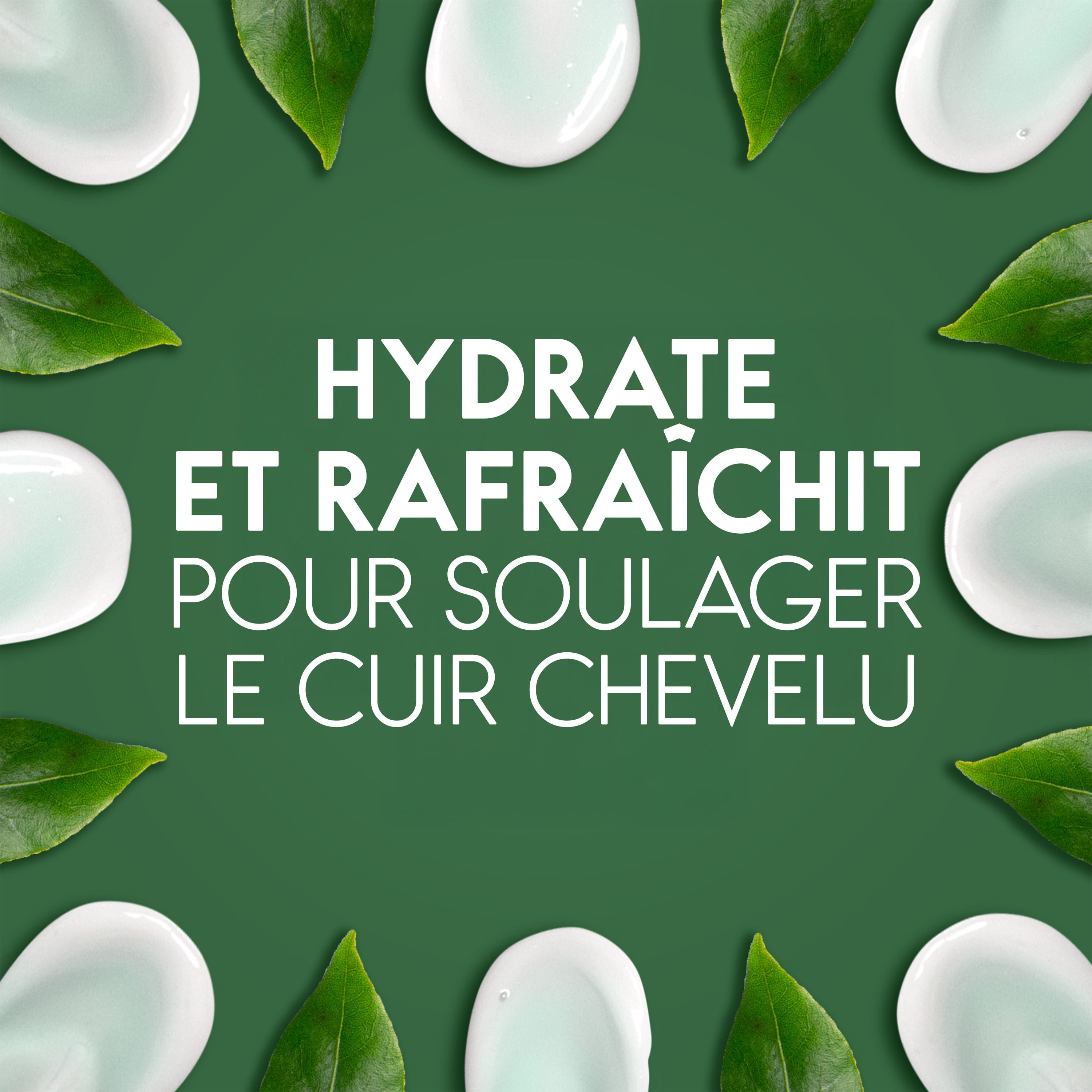 Head & Shoulders Tea Tree Oil Shampoo, 370ML