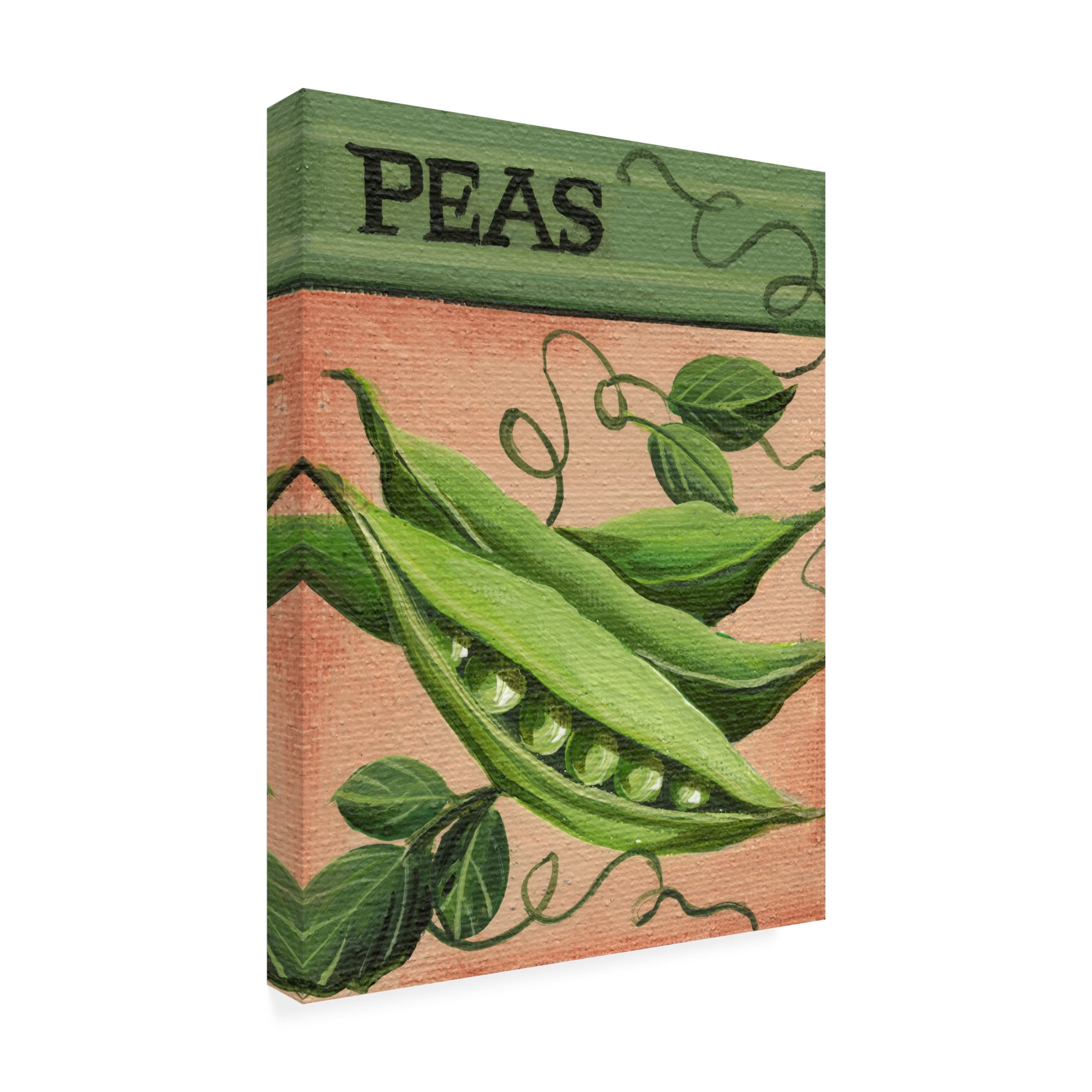 Canvas Wall Art - Debbi Wetzel 'Seed Packets 20 - Peas' Wall Art for Living Room, Bedroom, or Office Décor by Trademark Fine Art - 35 x 47 Inches