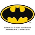 thumbnail image 4 of GRAPHICS & MORE Batman Joker Symbol Novelty Metal Vanity Tag License Plate, 4 of 4