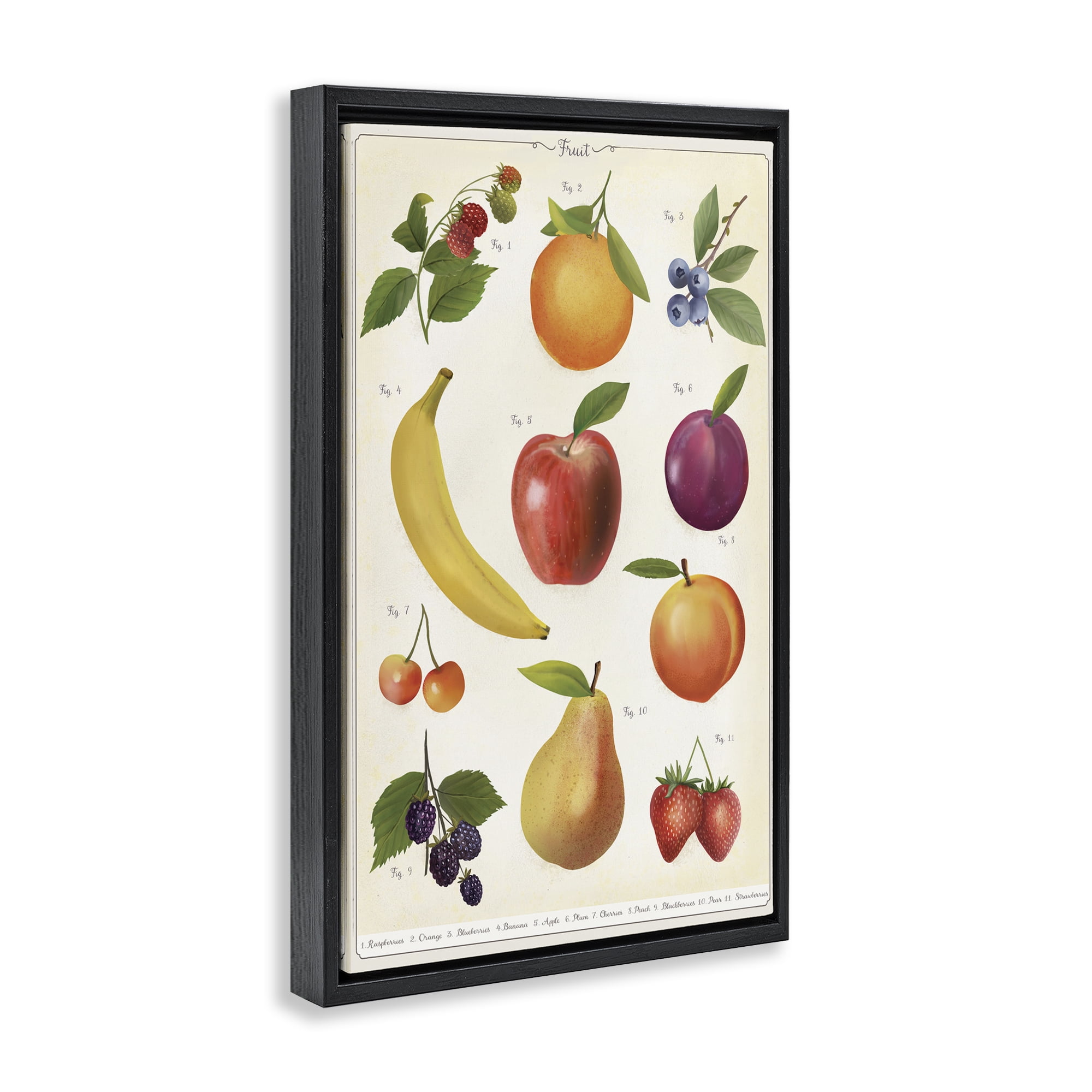 Stupell Industries Fruit Collection Studies Black Framed Floater Canvas Wall Art, design by Diane Neukirch