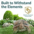 thumbnail image 5 of Sunnydaze 29" Talia the Tortoise Glass Fiber Reinforced Outdoor Statue, 5 of 12