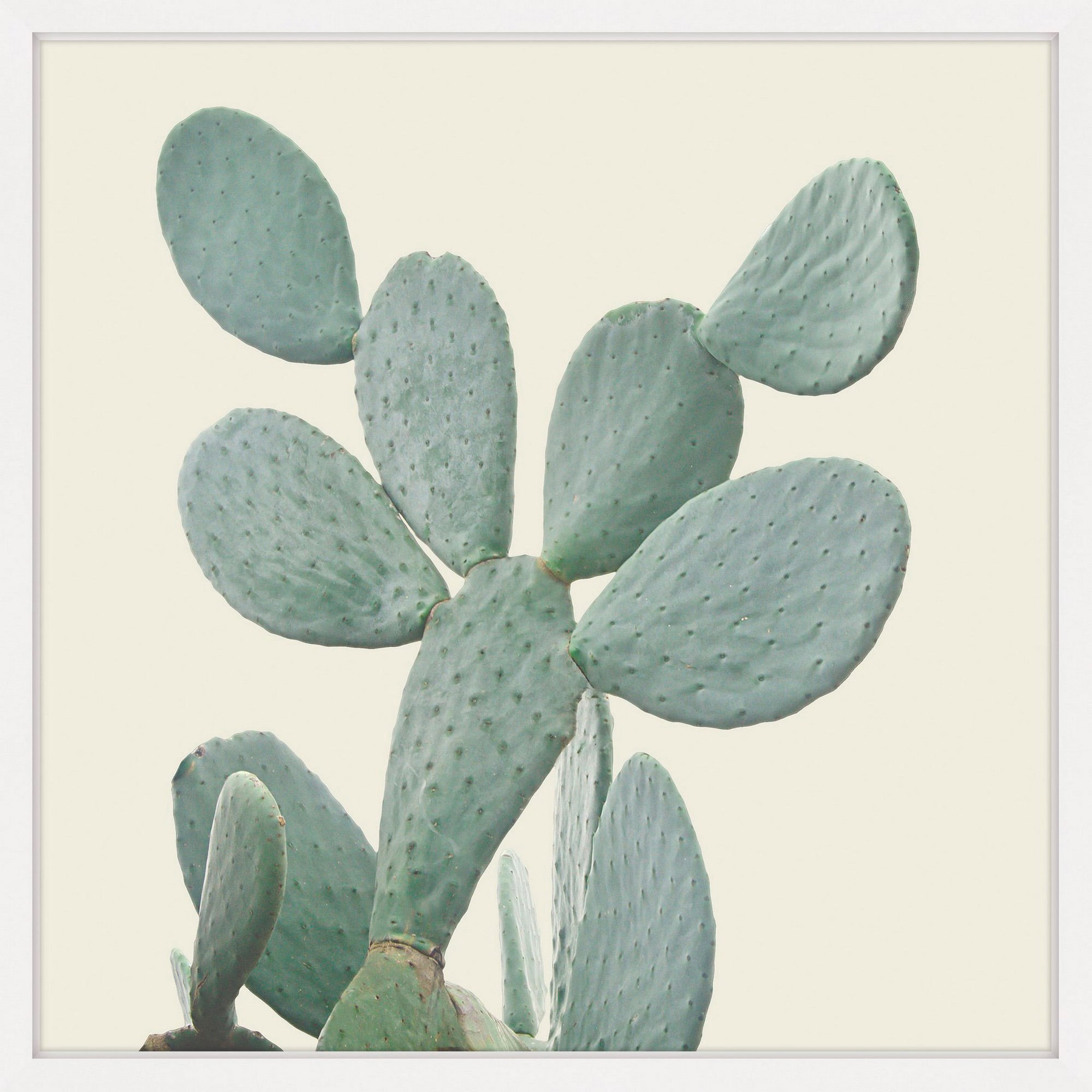 I Love Cacti Framed Painting Print