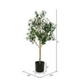 thumbnail image 3 of Vickerman 60" Artificial Green Olive Tree in Black Planters Pot., 3 of 7