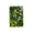 #062-B, variant on Creatitoy Expandable Artificial Hedge Fence - 23.62x15.75 Inch Green Faux Leaf Screen Panel Decorative Wall For Balcony Privacy Protection