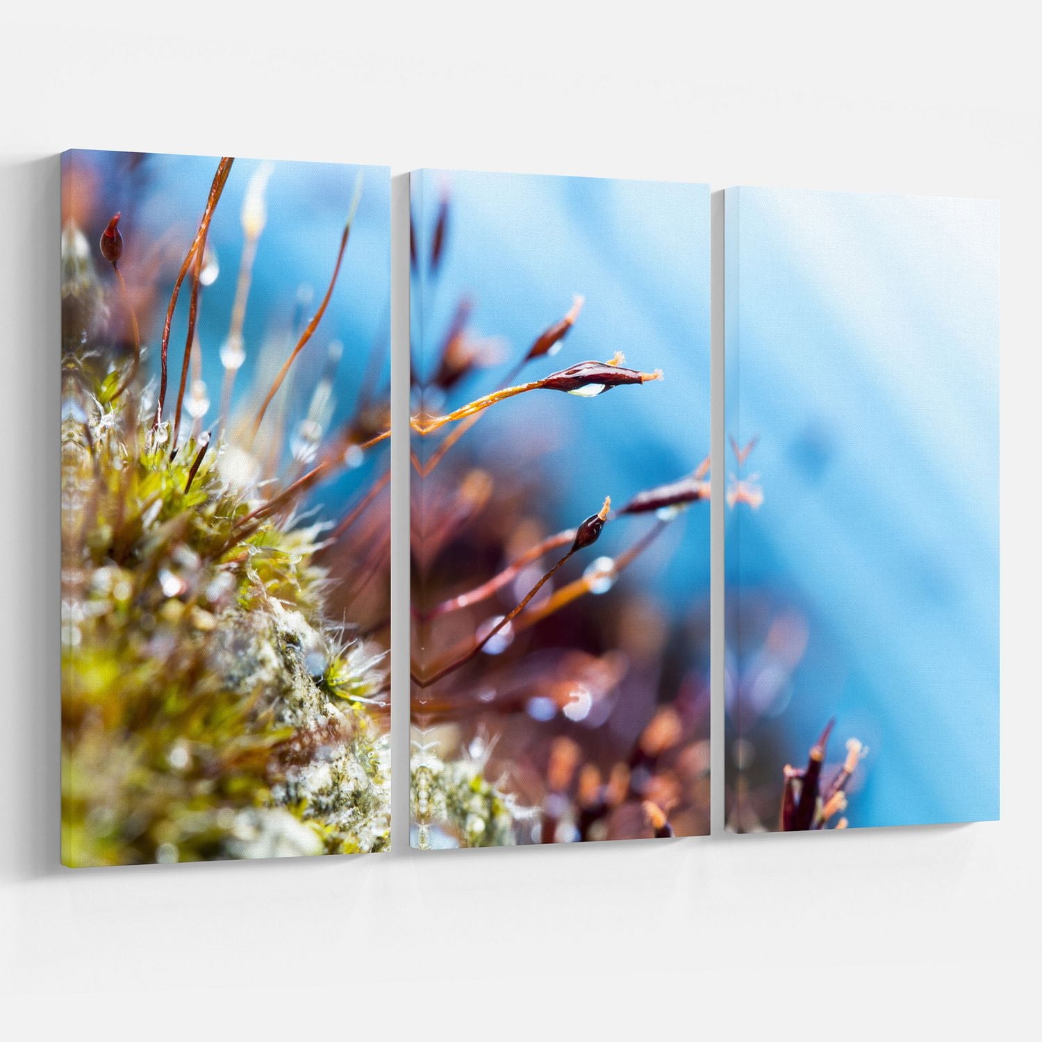 Design Art Moss Flowers in Summer Spring Canvas Print