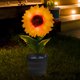 thumbnail image 4 of Girasol Solar Ground Light Interruptor automático LED Path Yard Lights para patio, 4 of 9