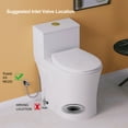 thumbnail image 2 of One Piece Toilet with Gold Button Elongated 17.3" ADA Comfort Seat Height Dual Flush 0.8/1.28, 2 of 13