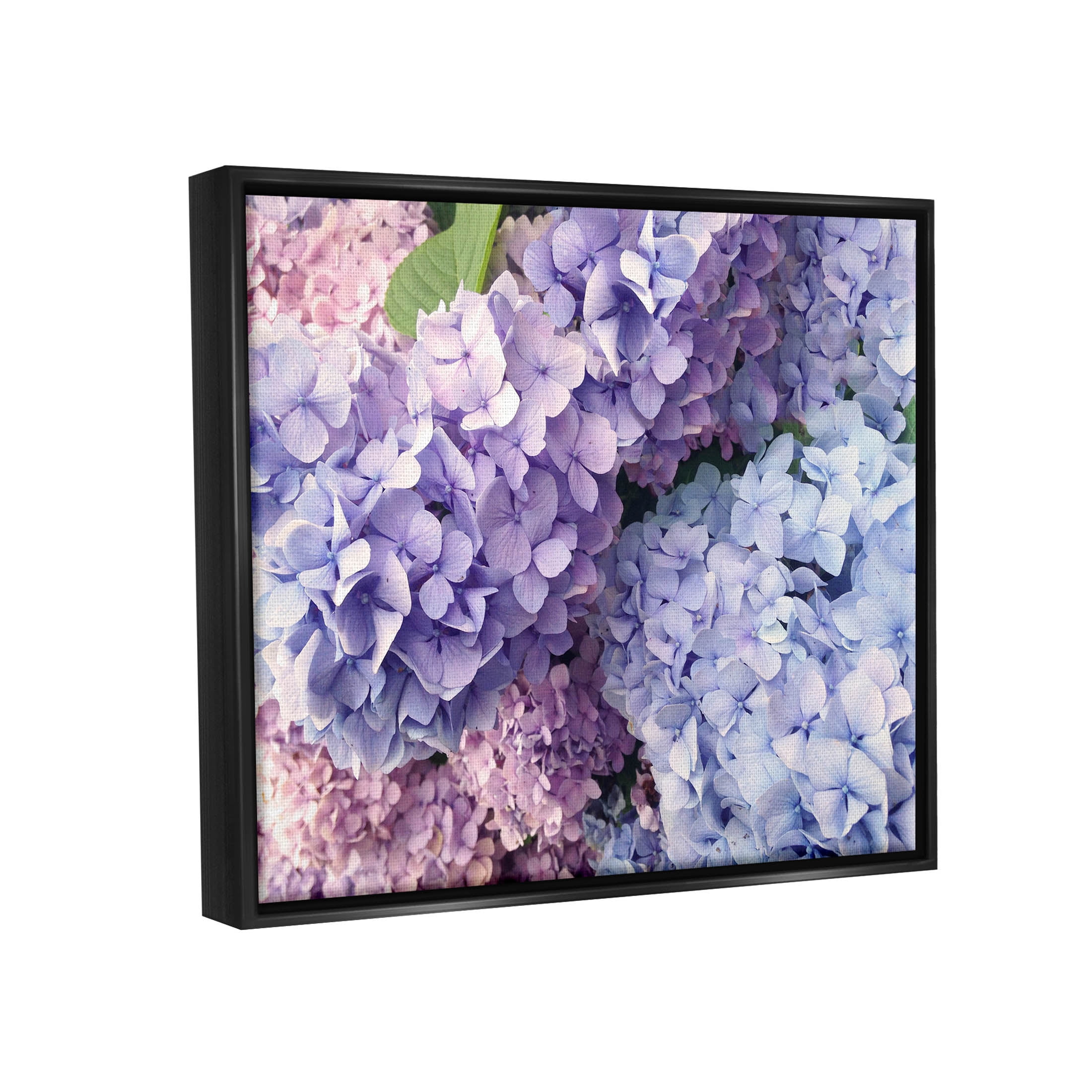 Pastel Hydrangea Flower Petals Botanical & Floral Photograph Jet Black Framed Art Print Wall Art