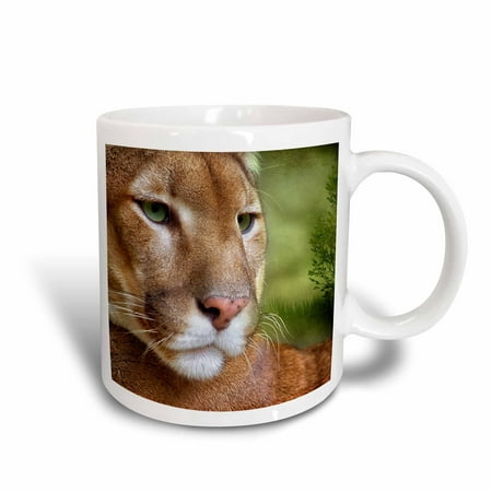3dRose Beautiful Mountain Lion Painting from a photo courtesy of Bas Lammers., Ceramic Mug,