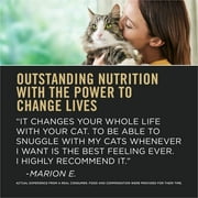 Purina Pro Plan LiveClear Cat Allergen Reducing Adult Dry Cat Food With Salmon and Rice