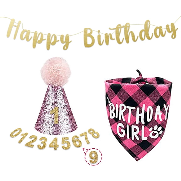 CSCHome 4 PCS Birthday Dog Bandanas Dog Hat Outfits, Girl Dog Cat Birthday Hat with Number for Small Medium Sized Dog Cat(Pink)