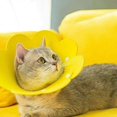 thumbnail image 4 of Collar for Cat Dog Cone Collar Anti-Bite Protection Cone Collars Dog Puppy Cat Injury Collar Adjustable Neck Cone Protector EVA Yellow M, 4 of 5