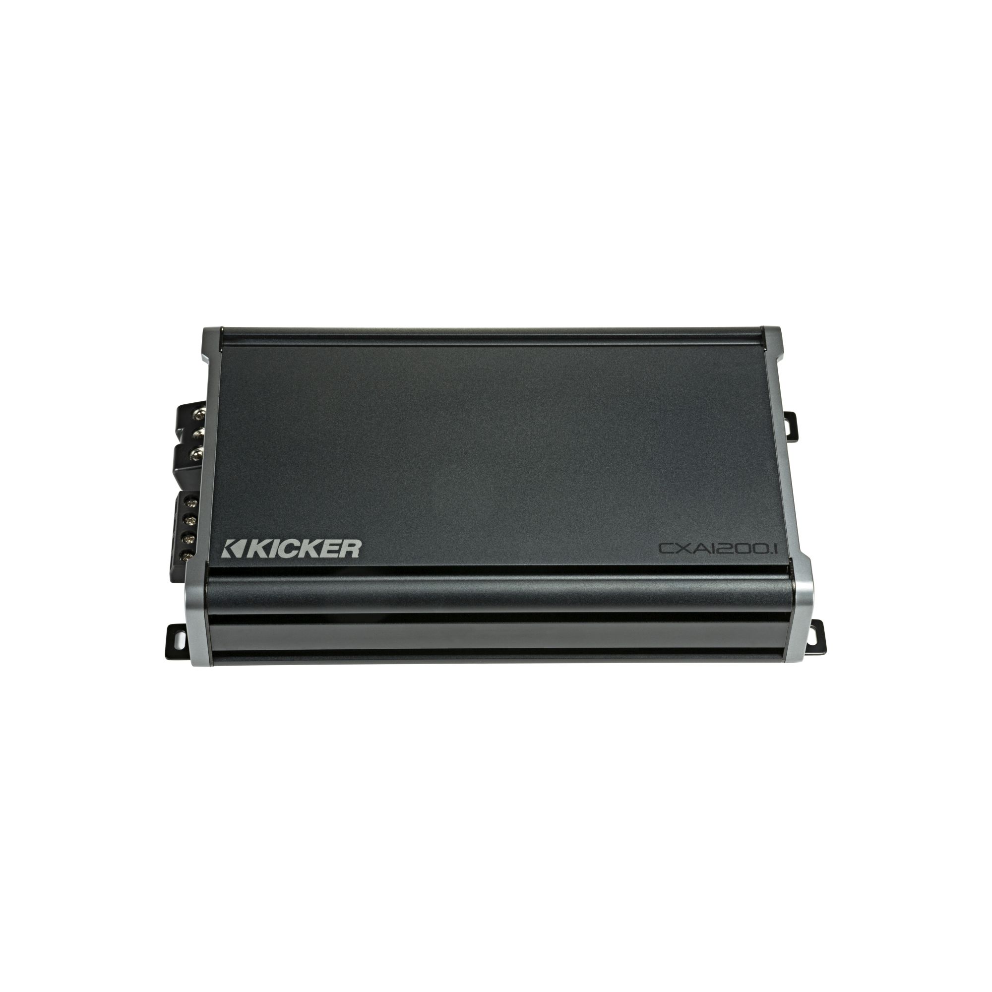 800-Watt Mono Class D Subwoofer Amp 