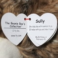 thumbnail image 5 of Ty Beanie Boos - Sully the Brown Sloth  – Medium (9")  – Glitter Eyes  - Stuffed Animal, 5 of 6