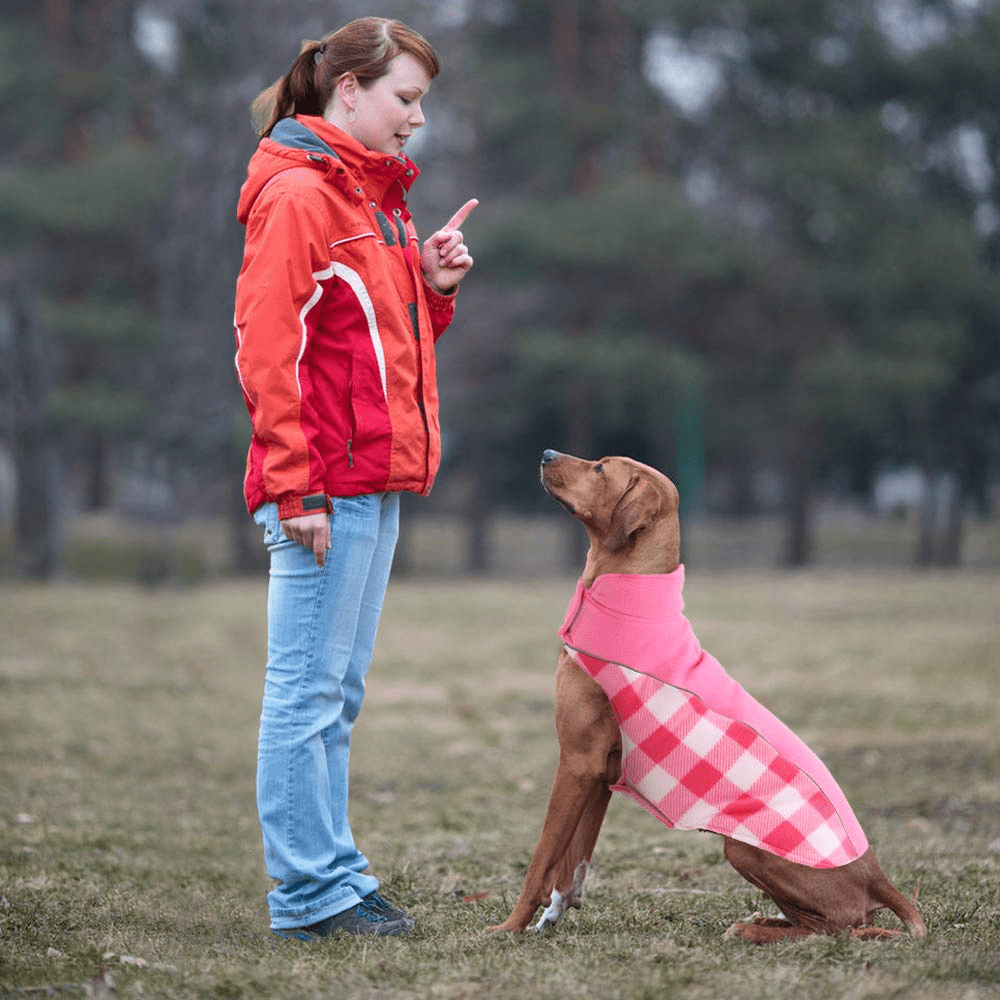 Kuoser Reversible Dog Winter Coat, Reflective Waterproof Dog Jacket, Cotton Lined Vest Windproof Outdoor for Small Medium and Large Dogs