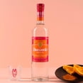 thumbnail image 2 of Pack de 12 Mezcal Recuerdo De Oaxaca Joven Manga 750 ml, 2 of 3