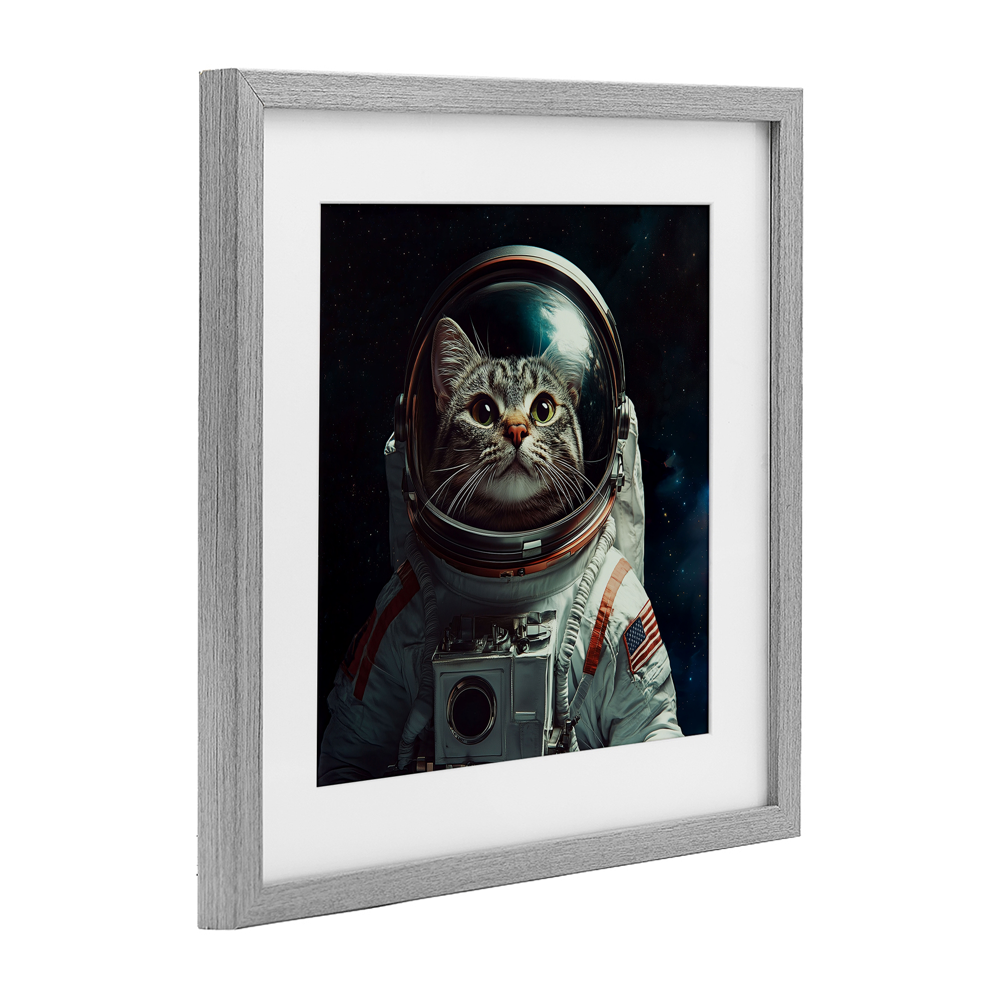 Catstronaut Cat Astronaut Gray Framed Print Under Glass, design by Jim Baldwin