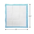 thumbnail image 6 of Animal Planet Puppy Pad-Dog Housebreaking ( 50 Count ) Potty Training Pads, 6 of 8