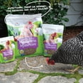 thumbnail image 2 of Manna Pro Mealworm Munchies, High Protein Poultry Treat, 30 Ounces, 2 of 7