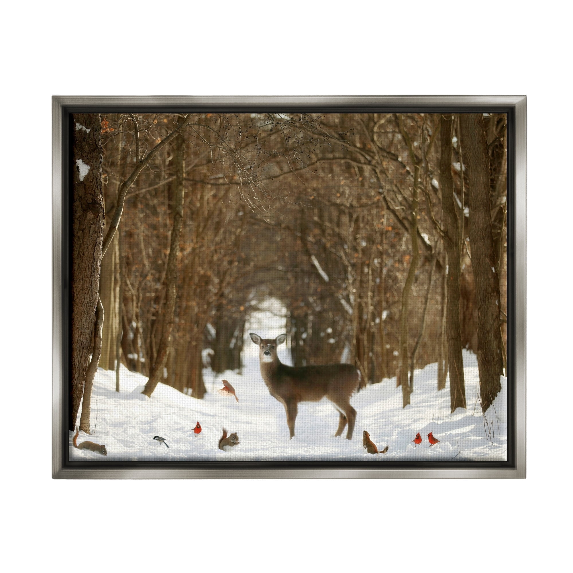 Stupell Industries Wild Forest Animals Gathered Amidst Snowy Trees Photograph Luster Gray Floating Framed Canvas Print Wall Art, Design by Carrie Ann Grippo-Pike