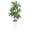 White, variant on 5 Foot Tall Artificial Dracaena Plant, Realistic Indoor Potted Tropical Floor Tree for Office Living Room Bedroom Corner Decor Indoor Outdoor