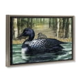 thumbnail image 2 of Stupell Industries Coastal Loon with Baby on Lake Brown Floating Frame Canvas Art, 25 x 17, by Paul Brent, 2 of 8