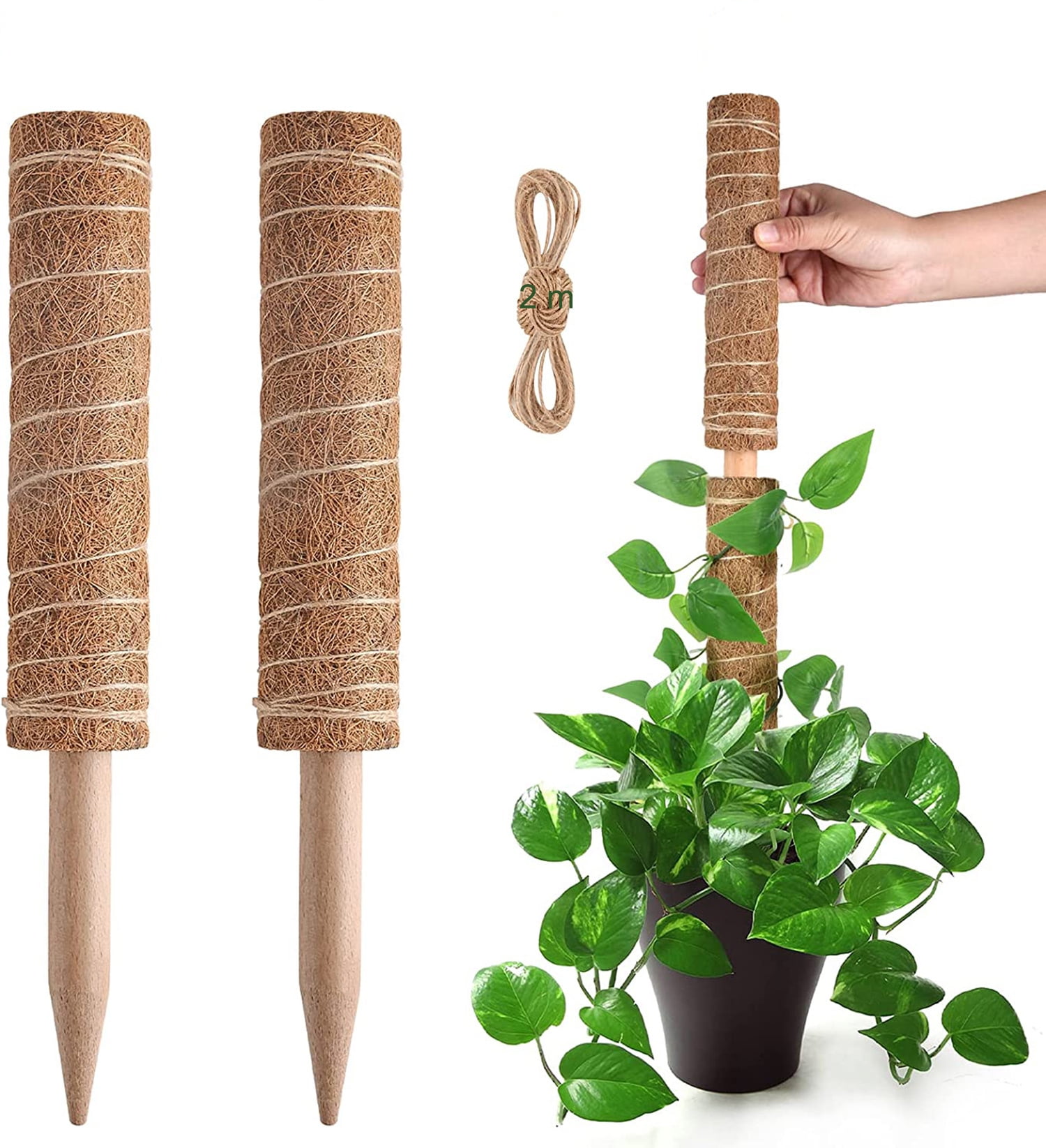 RUseeN Moss Pole for Plants Monstera, Extendable Plant Sticks Support