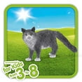 thumbnail image 3 of Schleich Maine Coon Cat Action Figure (1.62"), 3 of 3