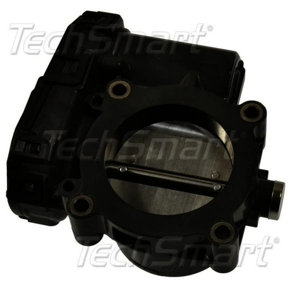Fuel Injection Throttle Body Assembly