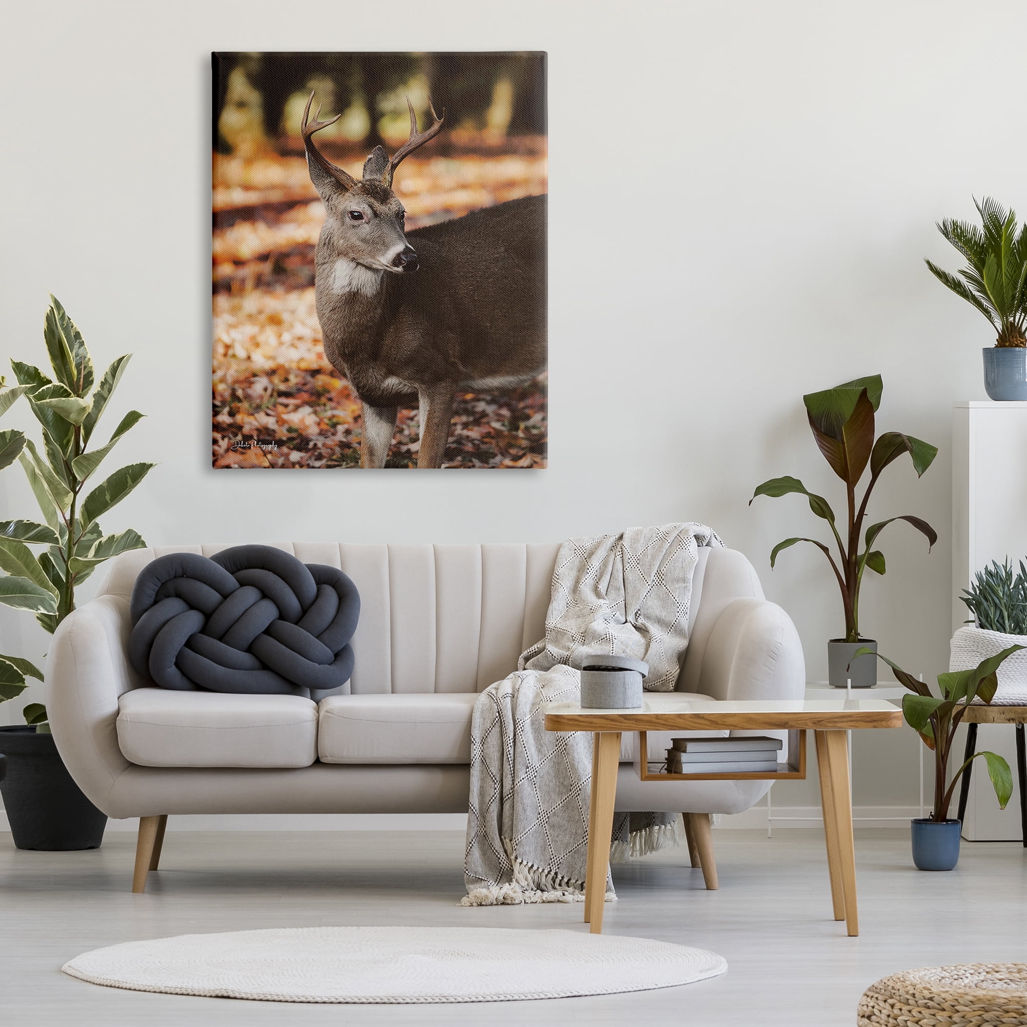Stupell Industries Deer in Fall Foliage Animals & Insects Photography Gallery Wrapped Canvas Print Wall Art, 36 x 48