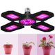 thumbnail image 4 of Luz Led De Crecimiento De Plantas De Cuatro Aspas Luz De Planta De Espectro Azul Rojo Plegable Luz De Crecimiento De Plantas De Aluminio Ajustable Para Interiores Con Portalámparas E27 seitruly HA027783-02, 4 of 5