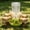 Green-S, variant on LiUMX Automatic Chicken Water Dispenser and Feeder, S Size Plastic Black Multi-Purpose Poultry Waterer, Spill-Reducing Automatic Refill Container for Chicks, Quail and Small Farm Birds